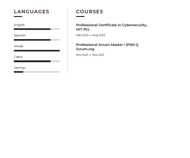 front end developer resume part 2