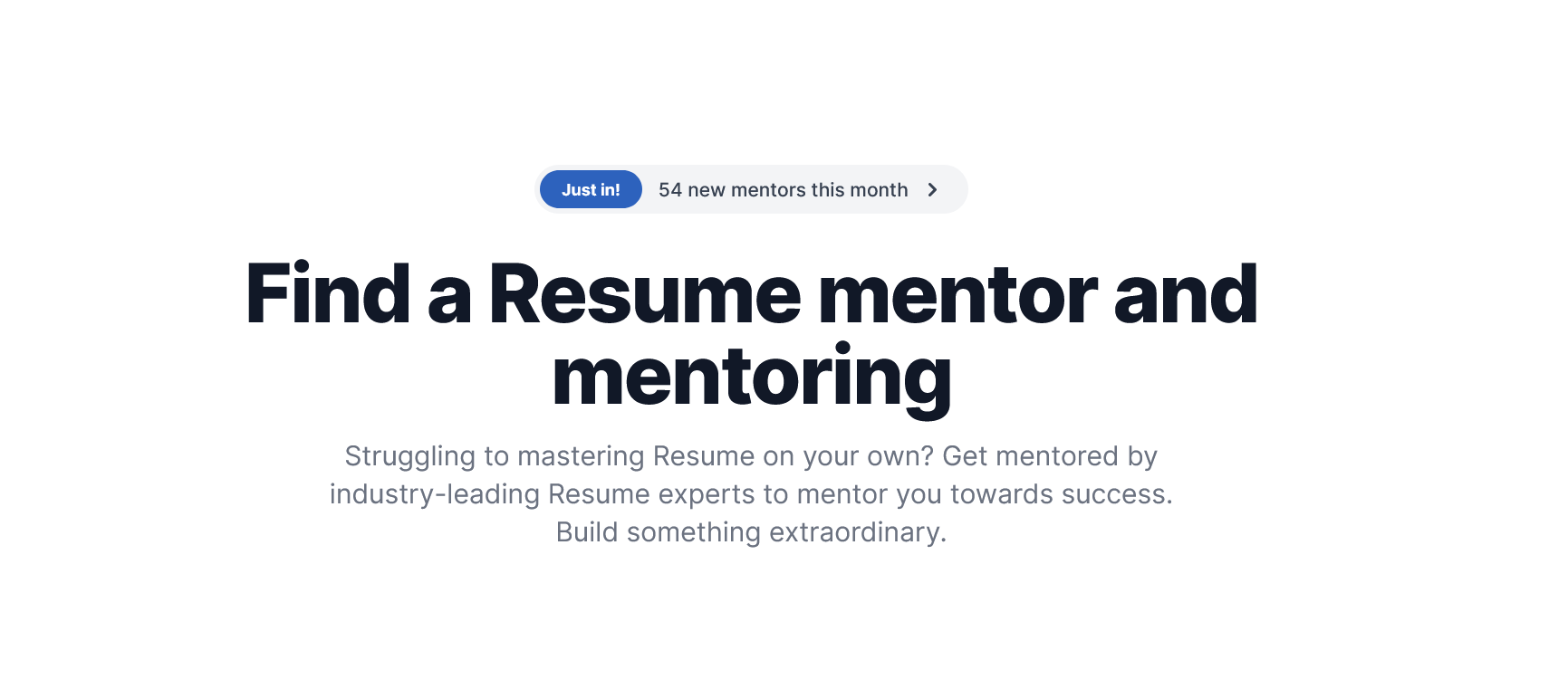 Mentor Cruise resume review